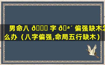 男命八 🐛 字 🪴 偏强缺木怎么办（八字偏强,命局五行缺木）